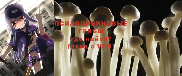стафф Корсаков