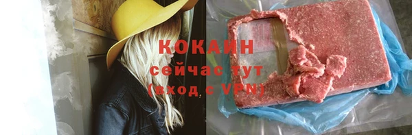 стафф Корсаков