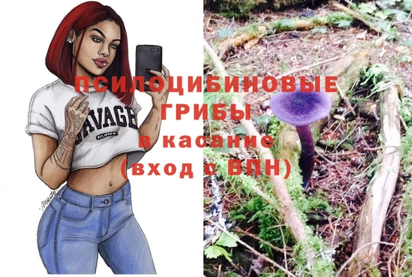 MESCALINE Коряжма