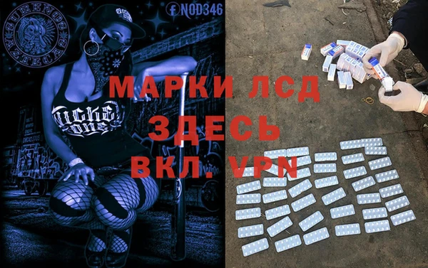 стаф Сатка